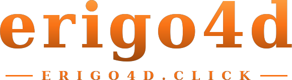erigo4d logo